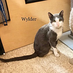 Thumbnail photo of Wylder #3