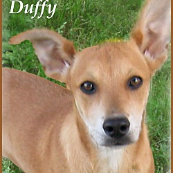 Photo of Duffy-PICK ME, PICK ME!!!