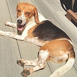 Photo of Beatrice