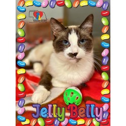 Photo of Jelly Belly