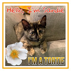Photo of Sandie