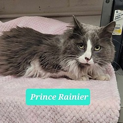 Thumbnail photo of Prince Rainier #2