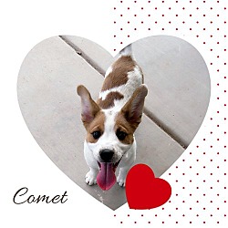 Thumbnail photo of Cuddly COMET #2