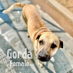Photo of Gorda