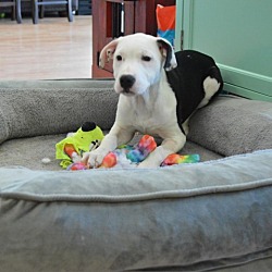 Photo of Wilby