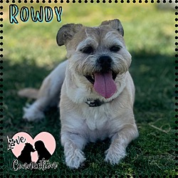 Photo of Rowdy