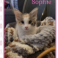Photo of Sophie - Courtesy Post