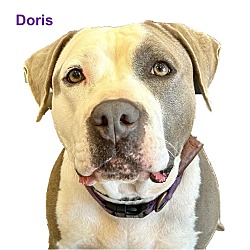 Photo of Doris