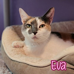 Thumbnail photo of Eva #3