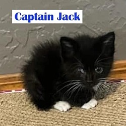 Photo of Captain Jack "C.J."