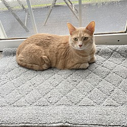 Photo of Charlie Bear