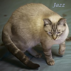 Thumbnail photo of Jazz (C24-130) #3