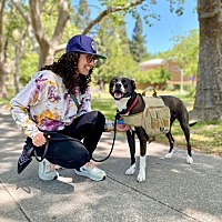 adopt a pet