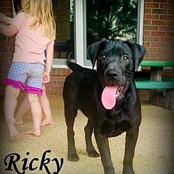 Thumbnail photo of Ricky ~ meet me! #2
