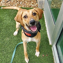 Photo of Dopey
