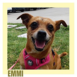 Thumbnail photo of Emmi #1