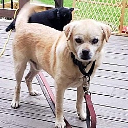 Photo of Tedd