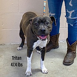 Photo of Tritan