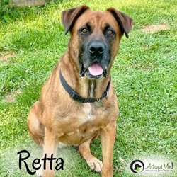 Thumbnail photo of Retta #2