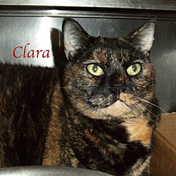 Thumbnail photo of Clara #1