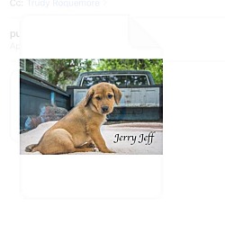 Thumbnail photo of Jerry Jeff #1