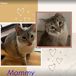 Photo of Mommy