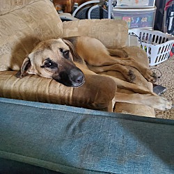 Photo of Duncan