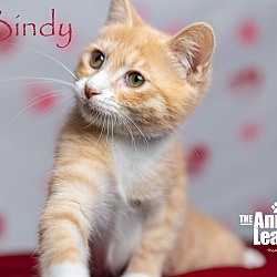 Thumbnail photo of Bindy #1