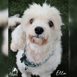 Thumbnail photo of Ella #4