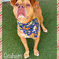 Thumbnail photo of GRAHAM #3