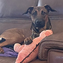Photo of Parker