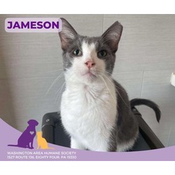 Thumbnail photo of Jameson #1