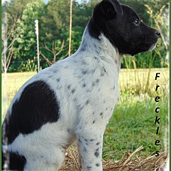 Thumbnail photo of Freckles-Cute and Sweet Too! #1