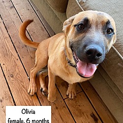 Thumbnail photo of Olivia #1