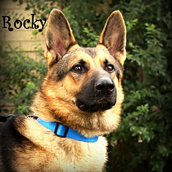 Thumbnail photo of Rocky Balboa ~meet me! #1