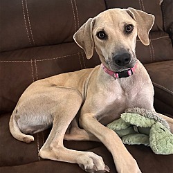 Photo of Daisy