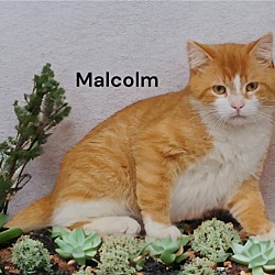 Photo of Malcolm