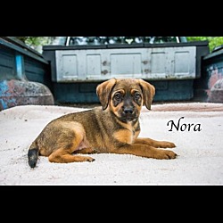 Thumbnail photo of Nora #1