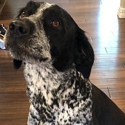 Photo of Lucy