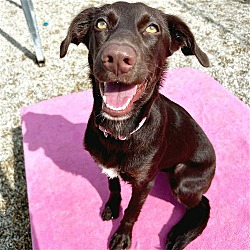Photo of Rylee