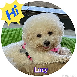 Thumbnail photo of Lucy #1