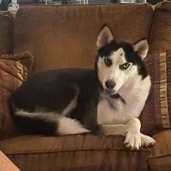 Photo of Yama