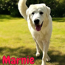 Thumbnail photo of Marnie #3