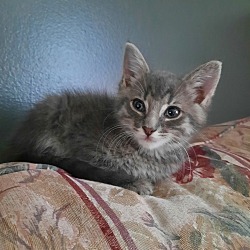 Thumbnail photo of Grayson #2