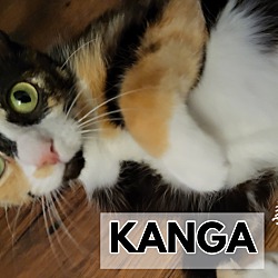 Photo of Kanga - Momma!