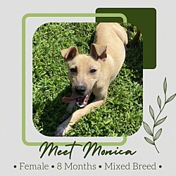Photo of Monica