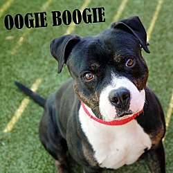 Photo of Oogie Boogie