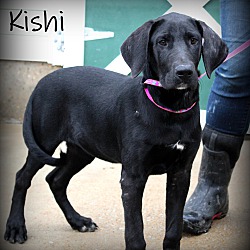Thumbnail photo of Kishi~adopted! #1