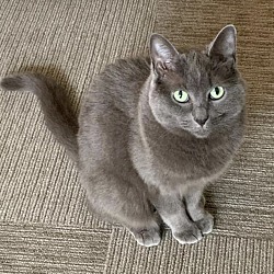 Photo of Cleo