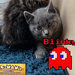Photo of Blinky